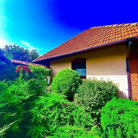 Complex Bahus Hotel Uzhhorod